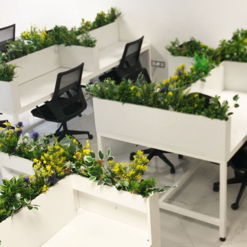 création entreprise Tanger